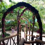 Mangrove and Bitatu rooms view