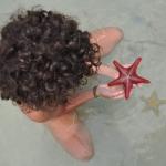 starfish