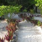 Garden path