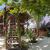 mangrove room , bitatu room view